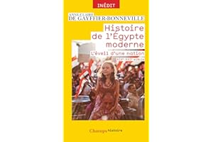 Histoire de l'É�����ٱ� moderne: L'éveil d'une nation (XIXe - XXIe siècle) (French Edition)