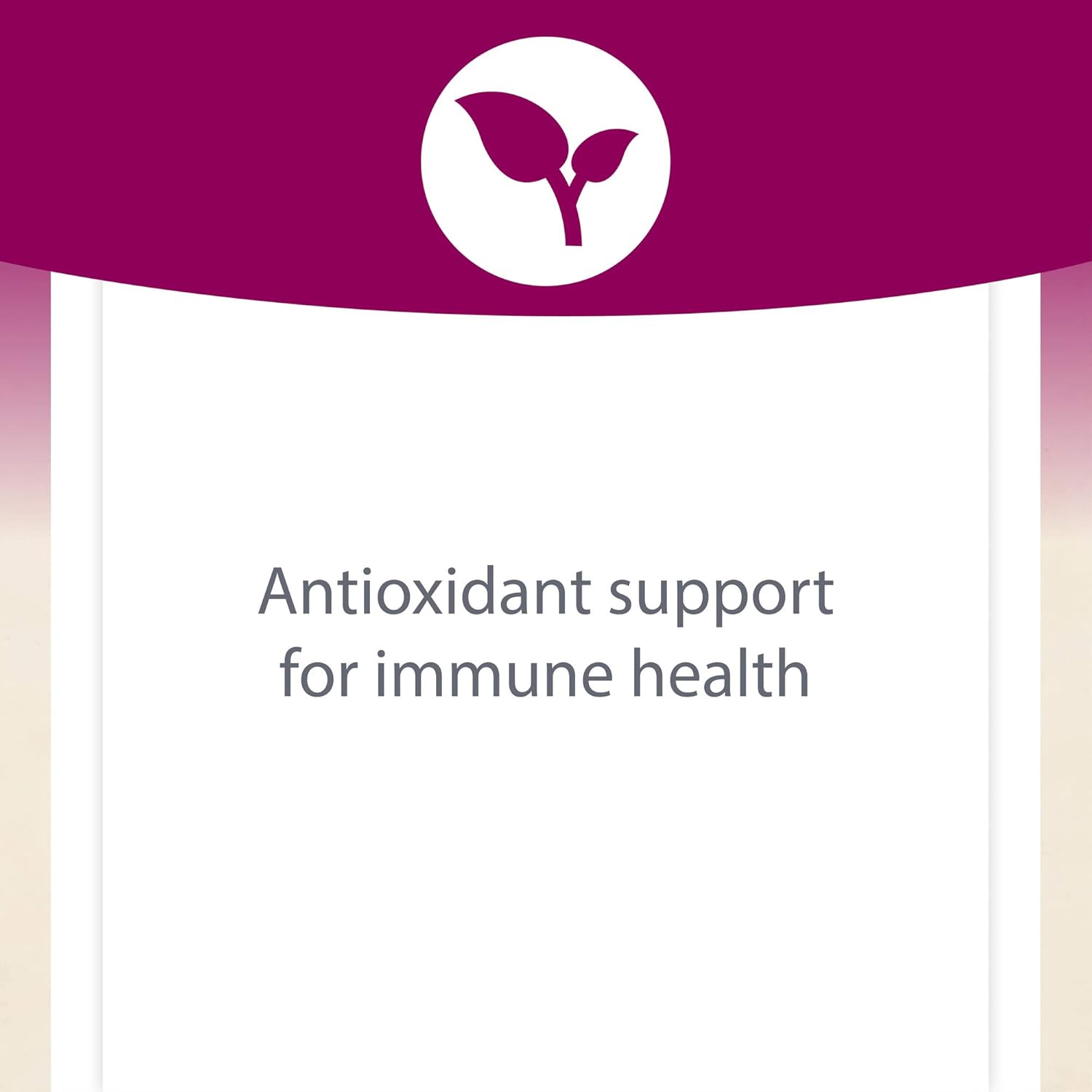 Natural Factors, Certified Organic Oil of Oregano, Herbal Supplement for Immune Support, Vegan, Non-GMO, 2 Fl Oz (Pack of 1) (375 servings): Health & Personal Care