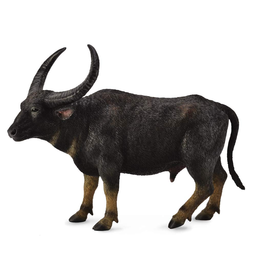 CollectA Wild Water Buffalo