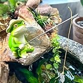 Charming Resin Frog Fishing Statue, for Outdoor Garden, Patio, and Pond Decor, Ideal Gift Turtle Decor