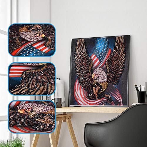 Staron  Newest Diamond Painting Kits - Crystal Special Shaped 5D Drill Cross Stitch Craft Kits Pictures Paint with Diamonds Home Wall Arts Decor Mosaic Making (D) - Thumbnail 2