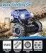 DOUBLE E 4 Wheel Drive Rechargable RC Car Rock Crawler Dual Motors Remote Control Truck With Strong Climb Ability