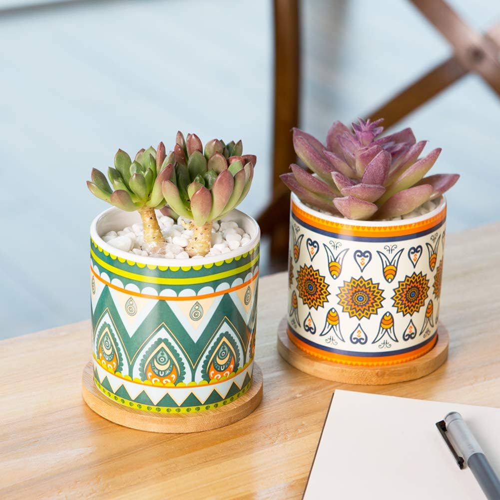 AlpsPro Succulent Plant Pots - 3.5 inch Ceramic Succulent Planter - Small Cylinder Flower Pots for Cactus with Drainage Hole and Bamboo Tray : Garden & Outdoor