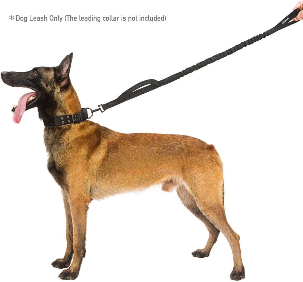 best dog leash for large dogs that pull