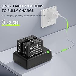 REYTRIC Upgraded 2-Pack Batteries for Insta360