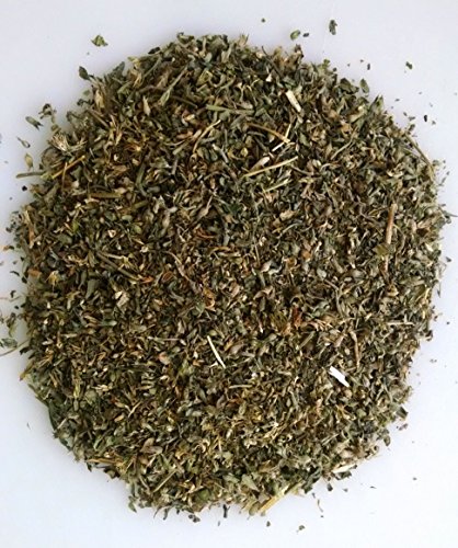 Catnip 2 oz / Fresh Premium Canadian Catnip (3 Cups)