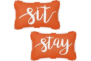 ASPMIZ Outdoor Pillow Covers 12 x 20 Inch, Waterproof Fall Orange Lumbar Throw Pillows for Patio Porch Furniture Couch, Autumn Decorative Cushion Cover, Thanksgiving Pillow Cases for Sofa Garden, Set of 2