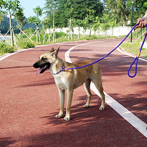 lynxking Dog Leash Rope Slip Leads Strong Heavy Duty No Pull Training Lead Leashes for Medium Large Dogs (5', Blue) - Thumbnail 2