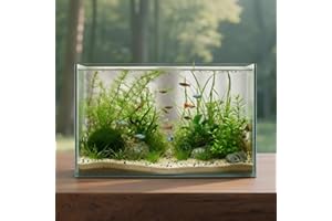 WONDERFACTORY 10 Gallon Glass Fish Tank, Aquarium Fish Bowl Cube for Betta Goldfish Snails Shrimp Aquatic Planting, Easy to Maintain Ultra Clear Rimless Low Iron