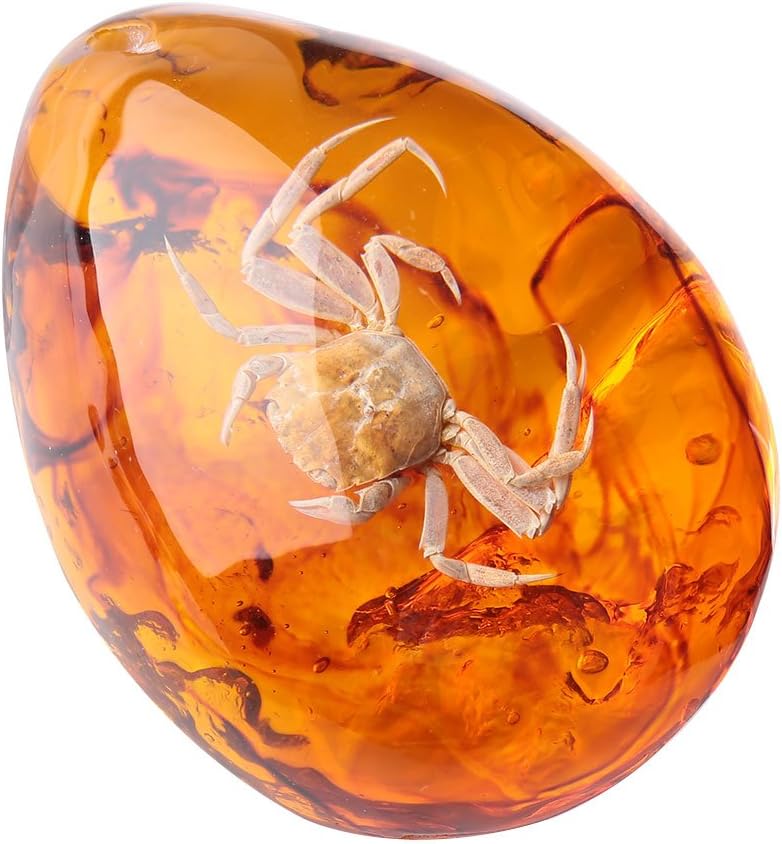 Haihuic Real Insect Specimen Collection Amber, Biology Science Bugs World, Paperweight for Kids Educational Toy (Crab)