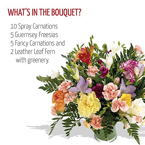 Fresh Flowers Delivered Friendship Bouquet of Carnations and Freesias in Mixed Colours with