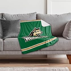 Wright State Raiders Primary Logo Stripes Sherpa
