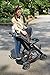Graco FastAction Sport LX Stroller, Banner