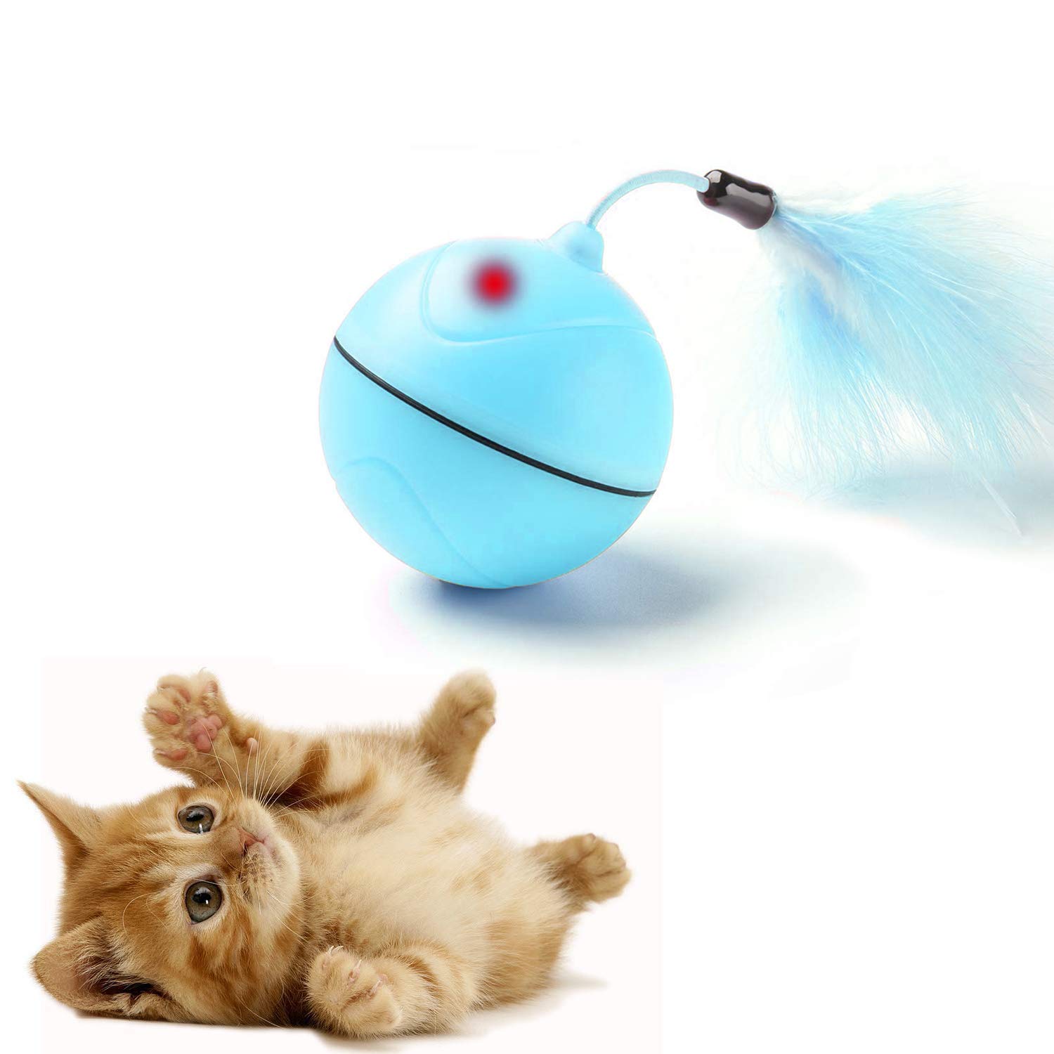 self rolling ball for cats