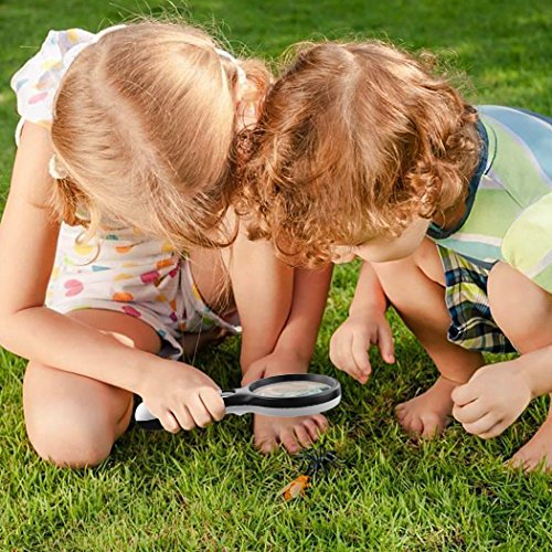 Magnifying Glass with 3 LED Lights, Diagtree 3X Handheld Magnifier Set with Lights and 45X Jewellery Jewelry Loupe for Science, Reading Books, Inspection, Maps, Best Gifts For Kids (Handheld 2 Pack) - Thumbnail 5