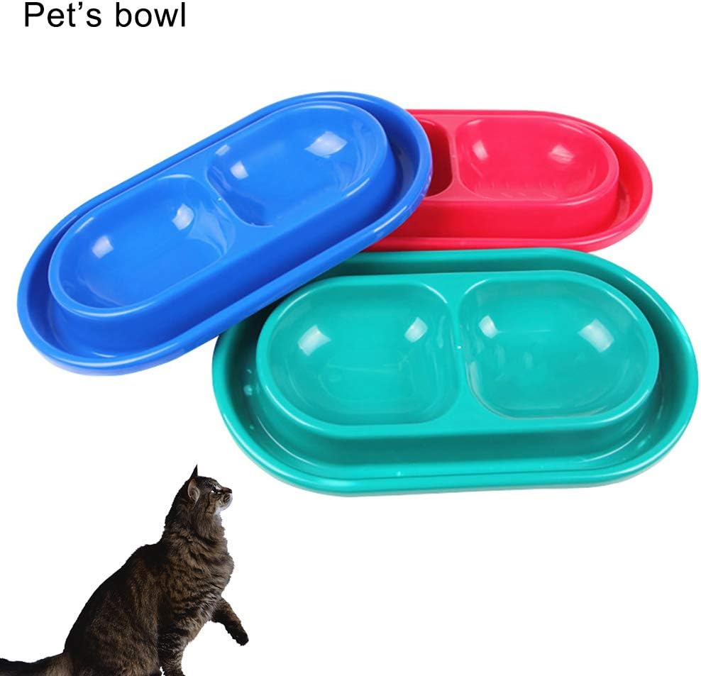 bug proof cat food bowl