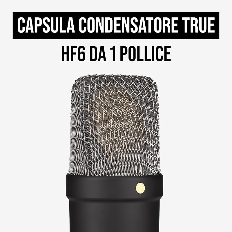 NT1 Signature Series, microfono a condensatore a diaframma largo con supporto antiurto, filtro anti-pop e cavo XLR per produzione musicale, registrazione vocale, streaming e podcasting (Nero)