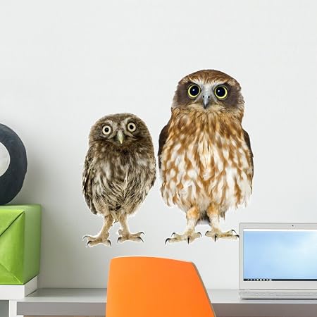 Amazon.com: Wallmonkeys Owl and Owlet Wall Decal Peel and Stick Animal