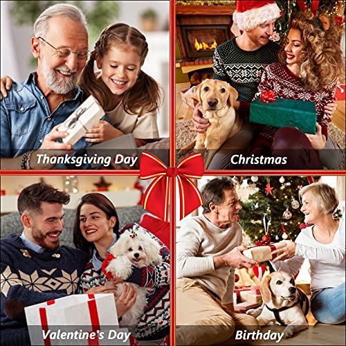 Portable Lint Remover (2 Pack) Pet Hair Remover, Dog Hair Remover Lint Cleaner Pro Lint Roller Lint Shaver Clean Tool, for Carpets, Car Mats, Blanket, Clothes, Furniture