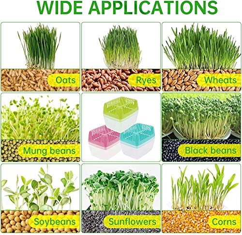 KORAM Seed Tray Kit, Seed Planting Tray for Cat Grass, Tray for Seedling Organic Pet Cat Grass Growing with Non-Slip Stickers, Natural Hairball Control Healthy Treat for Cats (Seed Not Included)