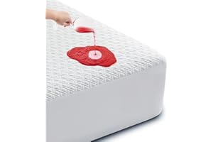 Cozymaker Queen Size 100% Waterproof Mattress Protector, Cooling Mattress Cover Fitted 8-21" Deep Pocket, 3D Air Fabric Soft Breathable Bed Mattress Pad Cover Noiseless Washable