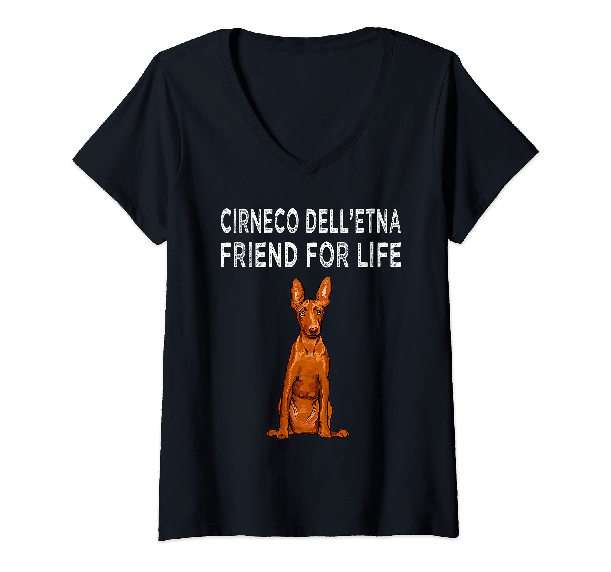 Womens Cirnechi dell’Etna Friend For Life Dog Friendship V-Neck T-Shirt