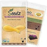 CERTIFIED ORGANIC SEEDS (Appr. 115) - Yellow Crookneck Summer Squash Seeds - Heirloom Seeds - Yellow Squash Seeds Collection - Non GMO, Non Hybrid Vegetable Seeds, USA
