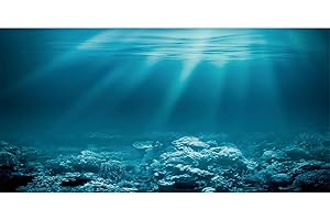 AWERT 30x12 inches Undersea Theme Aquarium Background Sunshine Underwater World Fish Tank Background Vinyl