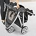 Chicco Viaro Travel System, Teak