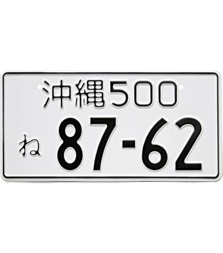 Amazon.com: ERPART Random Numbered Correct Size Japanese License