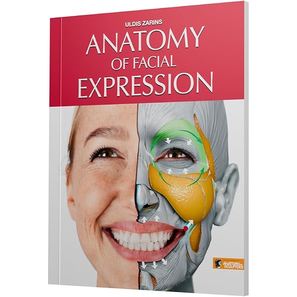 Facial Danger Zones: Staying safe with surgery, fillers, and non