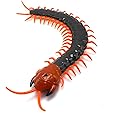 Tipmant Simulation RC Centipede Scolopendra Realistic Remote Control Vehicle Car Animal Insect Large Size Electric Prank Toy Kids Christmas Birthday Gifts (Navy Green)