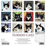 Image de Tuxedo Cats 2018 Calendar