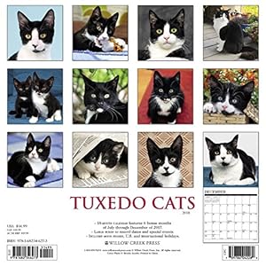 Tuxedo Cats 2018 Calendar