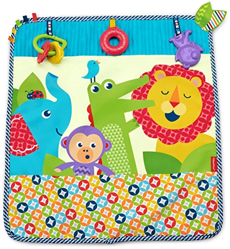 Fisher-Price On-The-Go Activity Throw