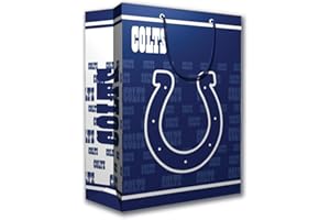PRO SPECIALTIES GROUP NFL Gift Bag - Great for Sports Fans