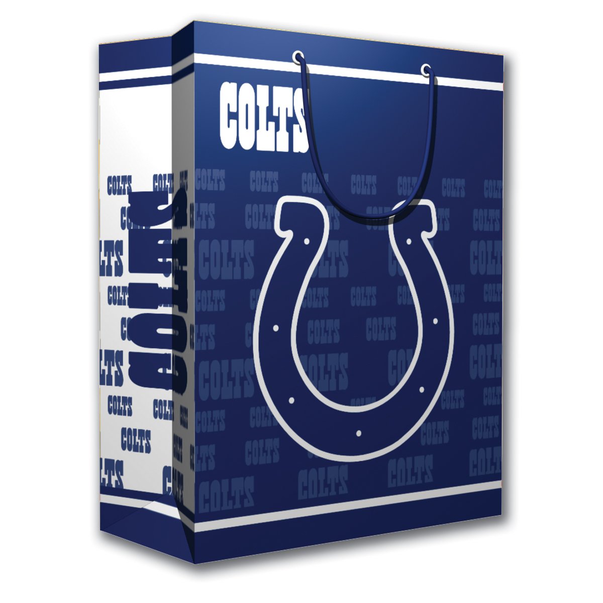 PSG INC NFL Gift Bag - Great for Sports Fans