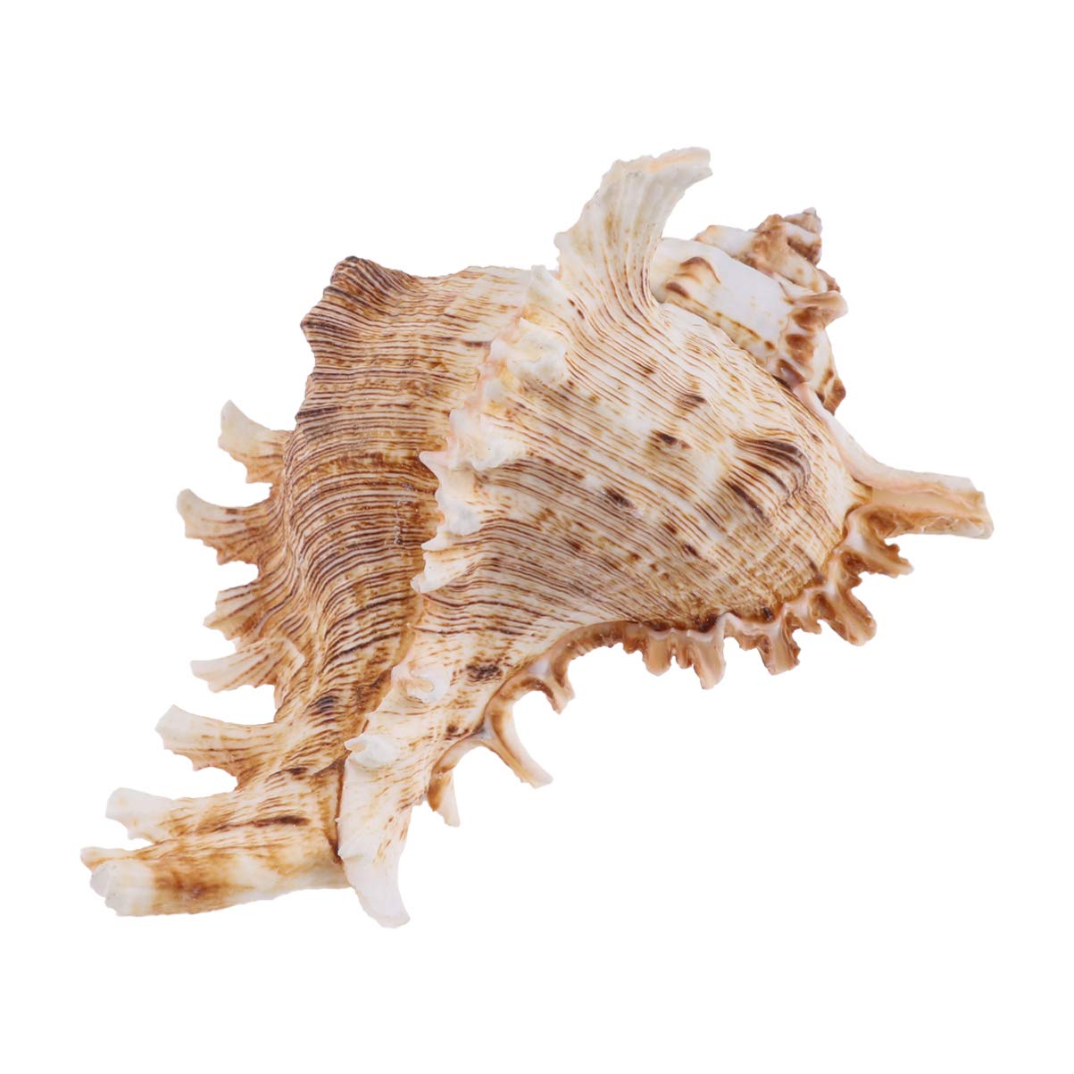 Sea Shell Decoration Ocean Beach Conch Fake Shell Ornament for Fish Tank Aquarium Home Landscape Decor (11-12cm)