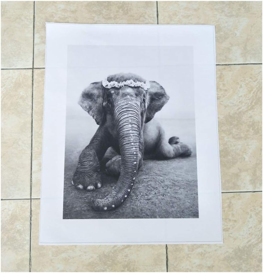 YKing1 Elefante Paisaje Lienzo Pintura Animal Pared Africano Blanco y