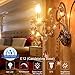 E12 LED Bulbs Candelabra LED Light Bulbs with E12 Base 40W Equivalent Halogen Replacement Warm White 2700K 4W Filament Candle Light Bulbs with 400 Lumen 6 Packs by COOWOO