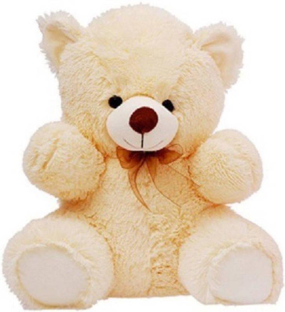 teddy bear for her birthday