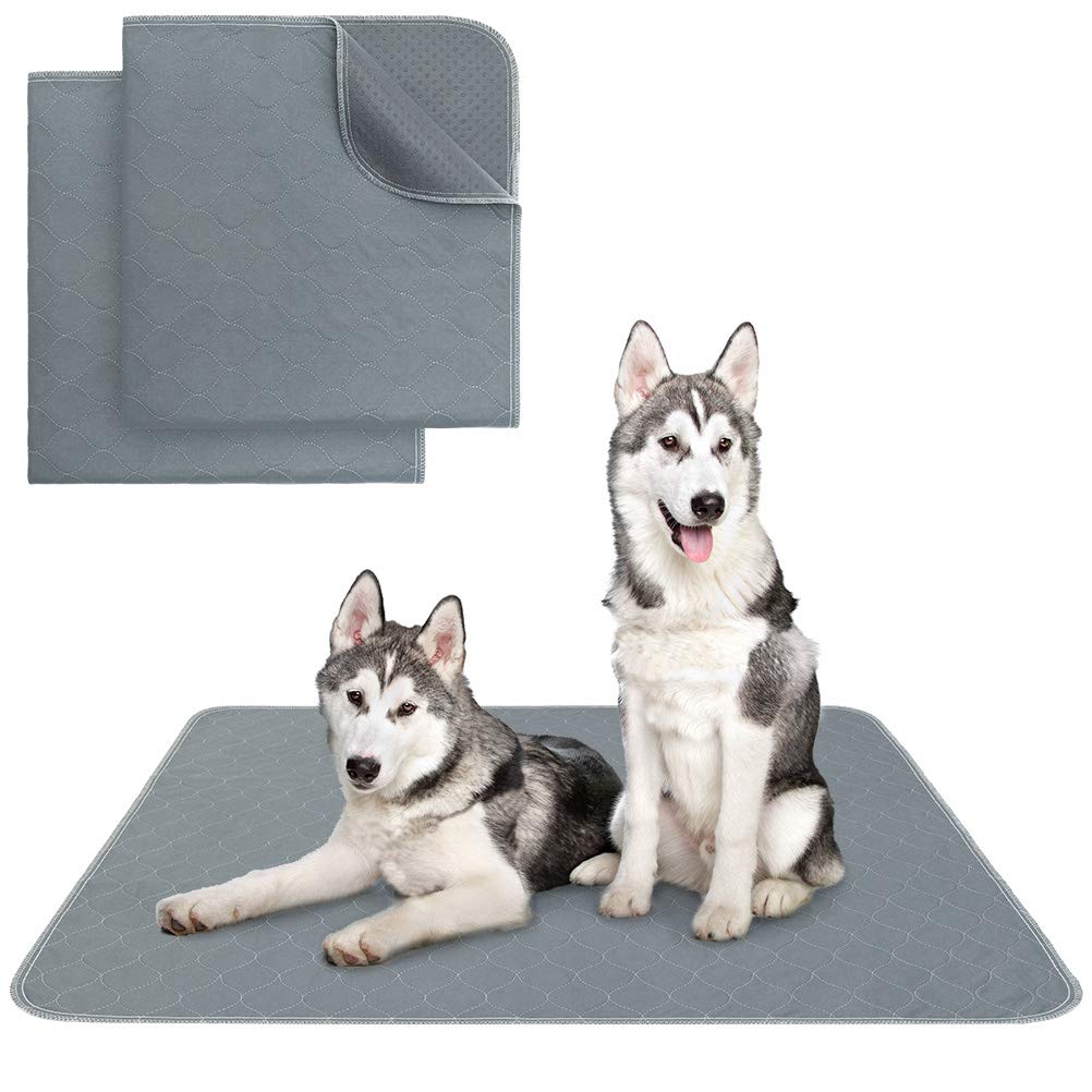 Photo 1 of KOOLTAIL Washable Pee Pads for Dogs - Waterproof Dog Mat Non-Slip Puppy Potty Training Pads, Reusable Whelping Pads for Dog Crate PlayPen