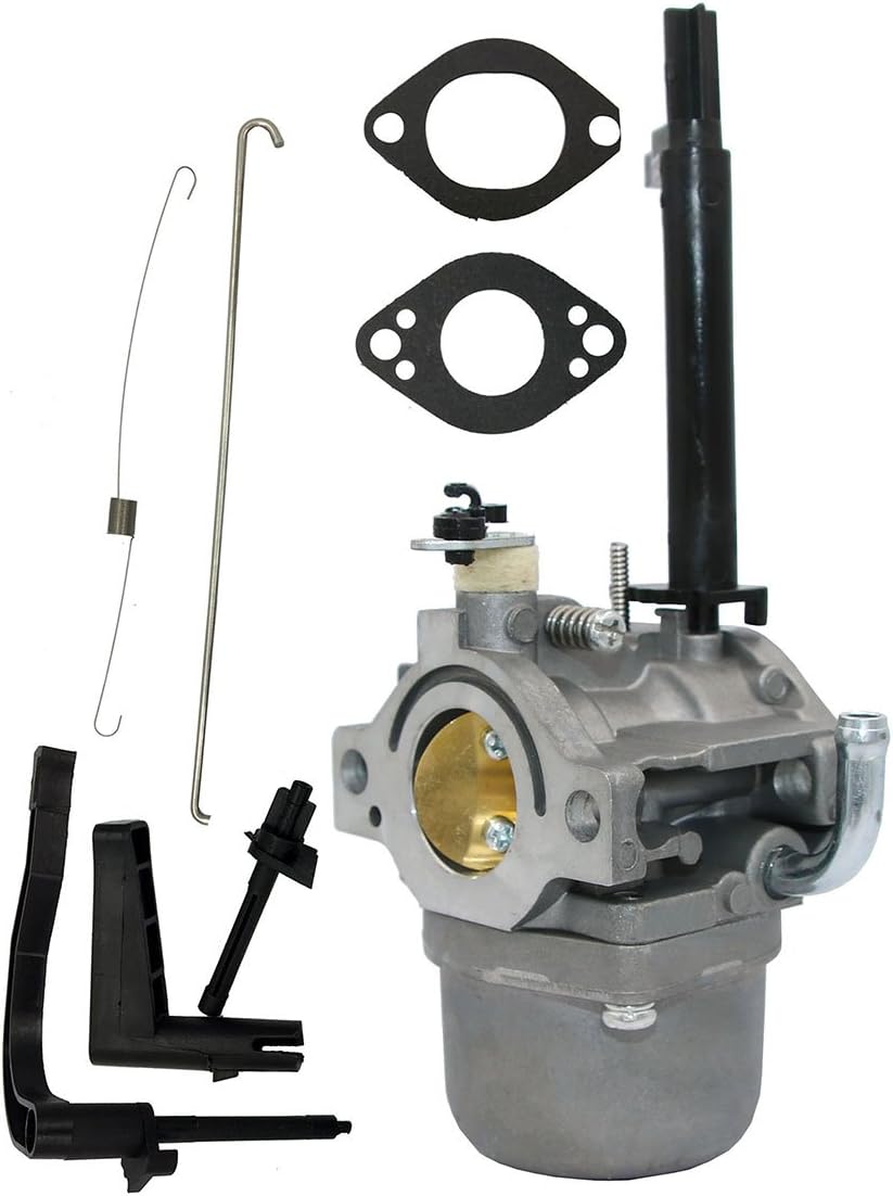 HOOAI 591378 Carburetor for Briggs & Stratton 697978 796321 696132 696133 796322 697351 699958 699966 698455 695918 694952 695919 695330 796323 695920 695328 : Garden & Outdoor