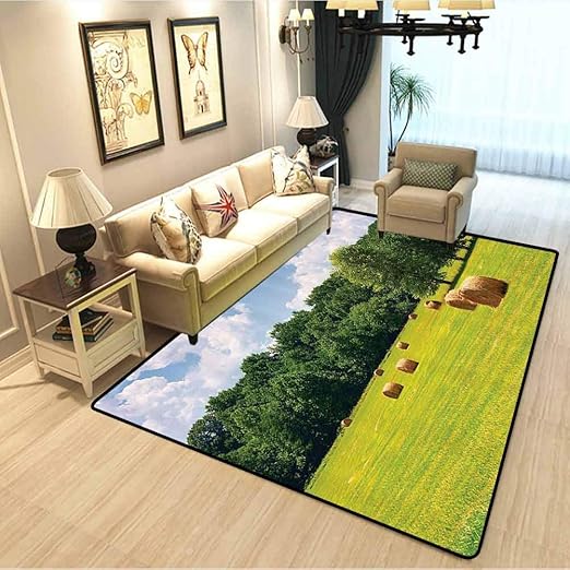 Amazon Com Farmhouse Decor Collection Sweet Romantic Couple Rug Farmland After Harvest Peaceful Terrain Remote Rural Country Plantation Seasonal Image Carpet Runners For Hallway Carpets For Bedrooms Green Kitchen Dining