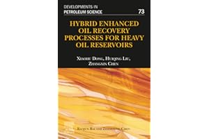 Hybrid Enhanced Oil Recovery Processes for Heavy Oil Reservoirs (Volume 73)