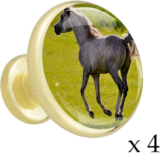 Un caballo corriendo sobre la hierba Tiradores de gabinete de cocina de