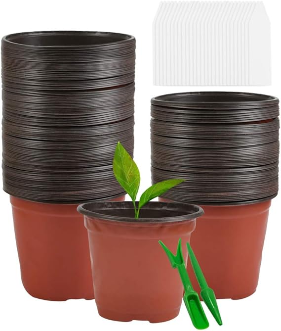 plastic plant price