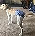 JoyDaog 3 Pack Medium Dog Diapers for Female Washable Premium Jean Dog Nappies Wrap M