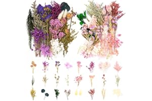Vignee Real Dried Pressed Leaf Flowers-Multiple Colorful Pressed Flowers Daisies for Craft Resin Jewelry Making Art Craft DIY（Violet&Light Pink）