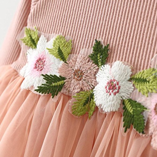 Children Baby Girls Floral Dress, Flower Printing Tutu Party Wedding Birthday Princess Long Sleeve Mesh Dresses (Pink, 18-24 Months)